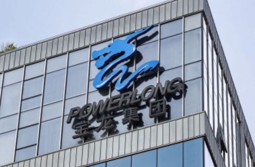 宝龙实业 未能如期支付 21宝龙01 5000万元本金,获30天宽限期