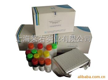 上海采右实业YS02445B-兔子白介素8(IL-8/CXCL8)Elisa试剂盒产品详解